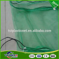 Eco-friendly plastic date bags at low price for sale to protect fruit